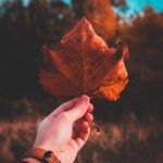 利澳平台的安全性与用户体验全面解析 va2psxsinu